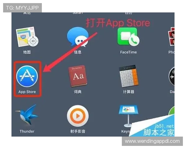问鼎app官方下载安装最新版本，确保软件安全与功能完整