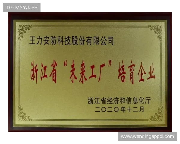 问鼎国际官网入口：获取国际合作最新动态与官方资源的便捷入口