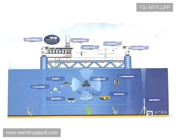 问鼎国际电脑版：实现跨国合作与交流的智能化管理系统