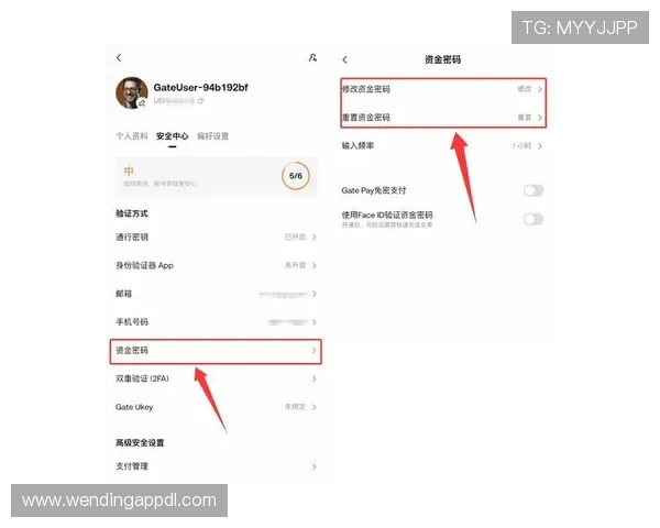 如何安全访问问鼎app官网网址入口？提供官方入口链接及防止钓鱼的实用技巧